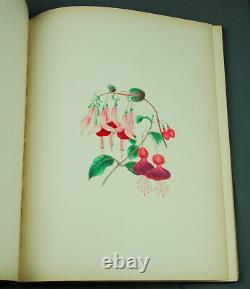 1867 Floral Belles from the Green House to the Garden Clarissa Badger Hand Color