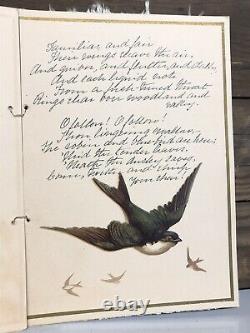 1884 Original The Coming of the Birds Elaine Goodale Antique Children Book Art