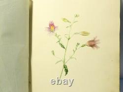 Emma Hutton 1839-1856 Poems Prints Art Sketches Scrapbook Very Nice 29x9.5