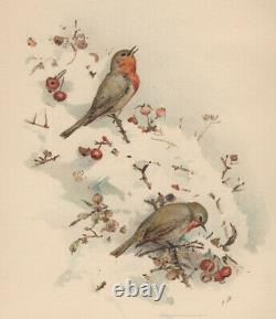 Fidelia Bridges 2 books Favorite/Familiar Birds 1886-88 color plates with poetry