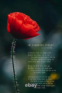 John McCrae Poem In Flanders Fields Single Poppy Poster Print Art Gift
