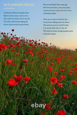 John McCrae Poem In Flanders Fields Sunshine Poster Art Print Gift Poem