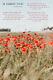 John Mccrae Poem In Flanders Fields The Poppy Field Poster Print Art Gift
