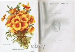 The Golden Poppy 1902 Art Nouveau California Poetry Prose Illustration Giftable